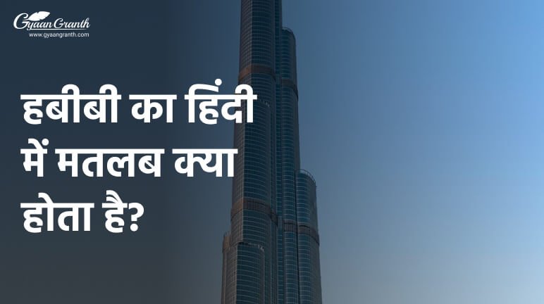 Habibi Meaning in Hindi