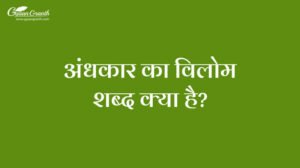 अंधकार का विलोम शब्द क्या है?