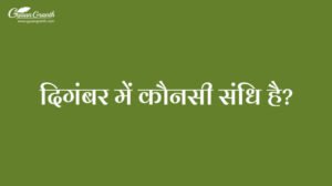दिगंबर में कौनसी संधि है?