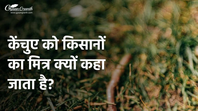 केंचुए को किसानों का मित्र क्यों कहा जाता है?