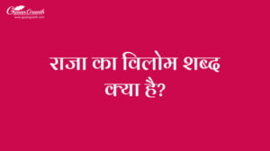 राजा का विलोम शब्द क्या है?
