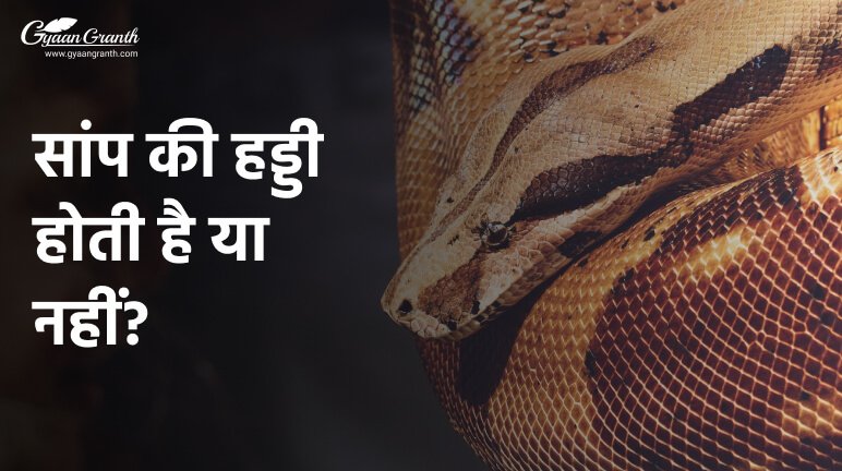 सांप की हड्डी होती है या नहीं