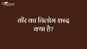 वीर का विलोम शब्द क्या है?