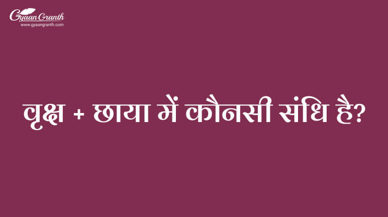 वृक्ष + छाया में कौनसी संधि है?