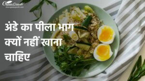 अंडे का पीला भाग क्यों नहीं खाना चाहिए