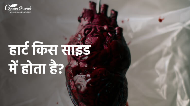 हार्ट किस साइड में होता है?