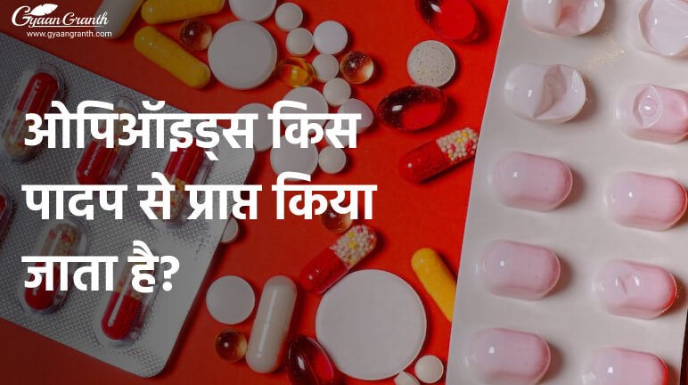 ओपिऑइड्स किस पादप से प्राप्त किया जाता है