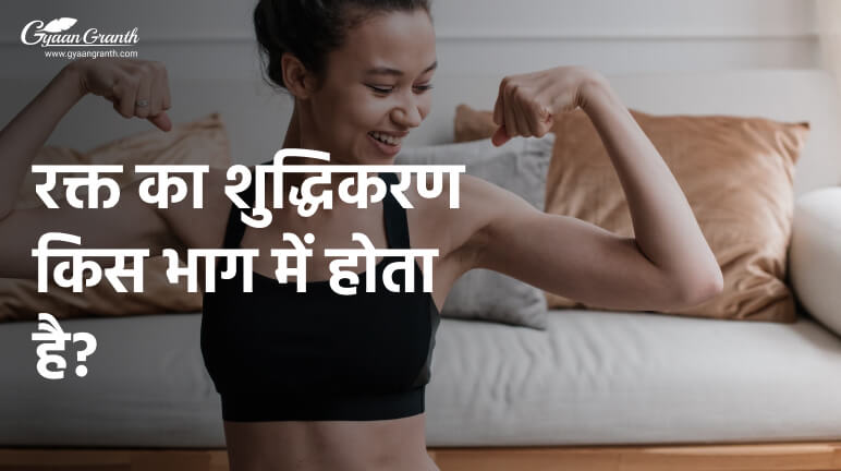 रक्त का शुद्धिकरण किस भाग में होता है?