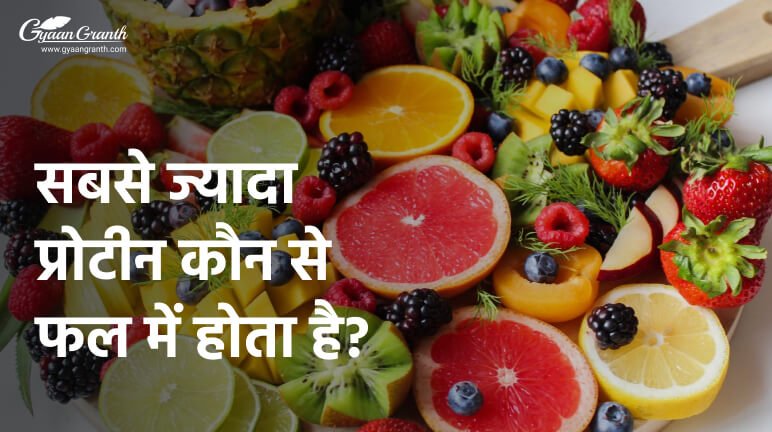 सबसे ज्यादा प्रोटीन कौन से फल में होता है?