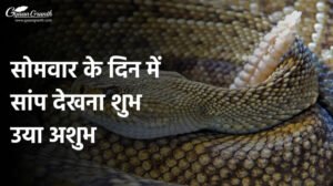सोमवार के दिन में सांप देखना