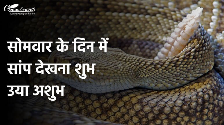 सोमवार के दिन में सांप देखना