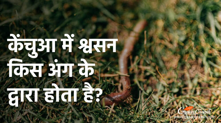 केंचुआ में श्वसन किस अंग के द्वारा होता है?