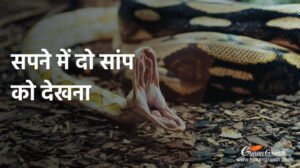 सपने में दो सांप को देखना