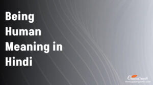 Being Human Meaning in Hindi