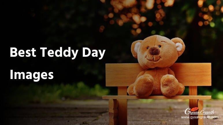 टेडी डे इमेजेज डाउनलोड