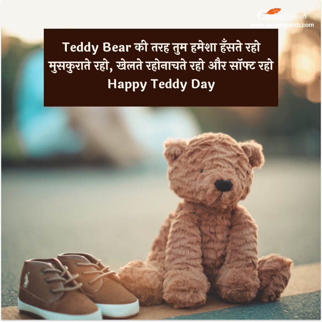 Happy Teddy Day Hindi