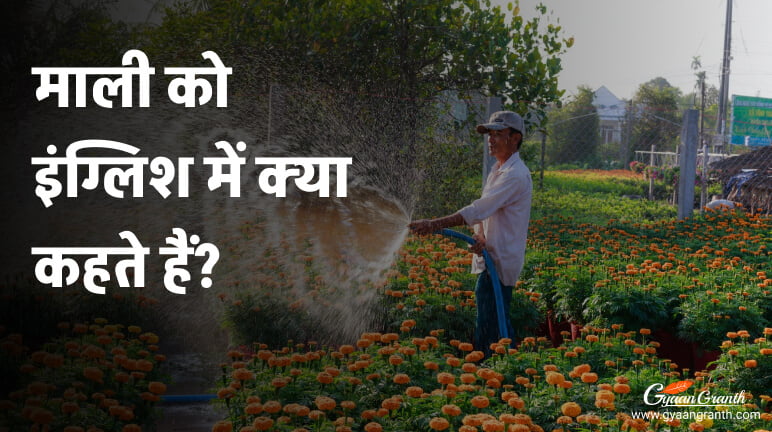 Mali Ko English Mein Kya Kahate Hain mali-ko-english-mein-kya-kahate-hain