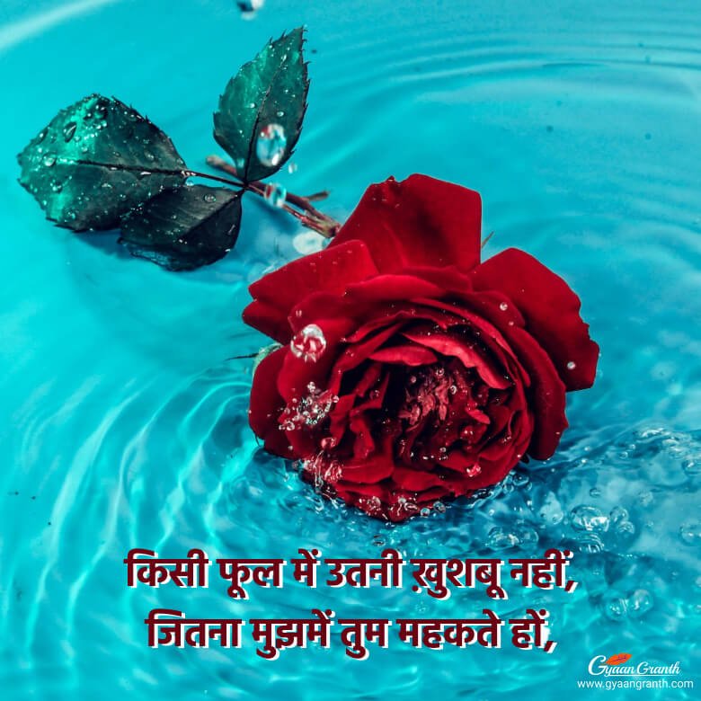 रोज डे 2023 शायरी