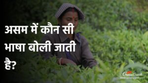 असम में कौन सी भाषा बोली जाती है