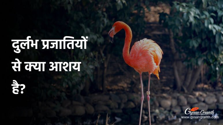 दुर्लभ प्रजातियों से क्या आशय है