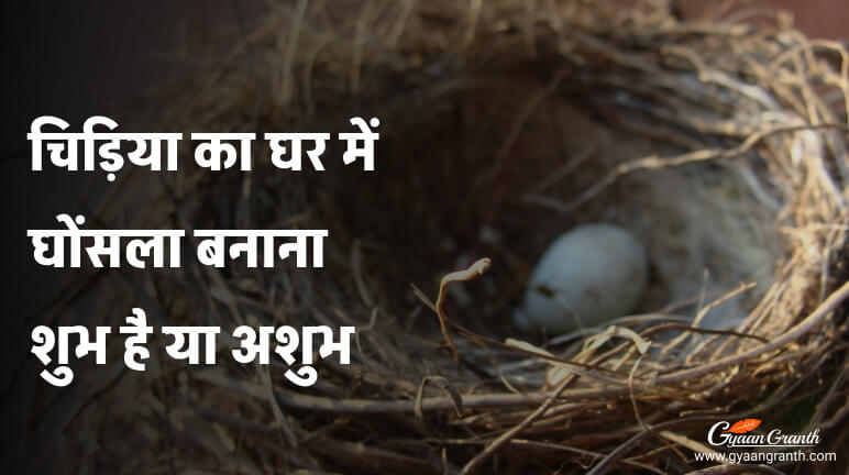 चिड़िया का घर में घोंसला बनाना शुभ है या अशुभ