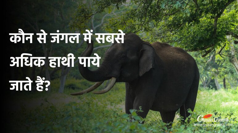 कौन से जंगल में सबसे अधिक हाथी पाये जाते हैं