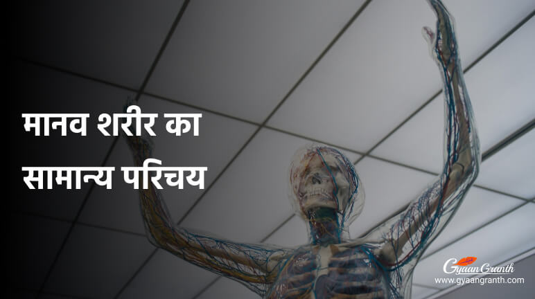 मानव शरीर का सामान्य परिचय