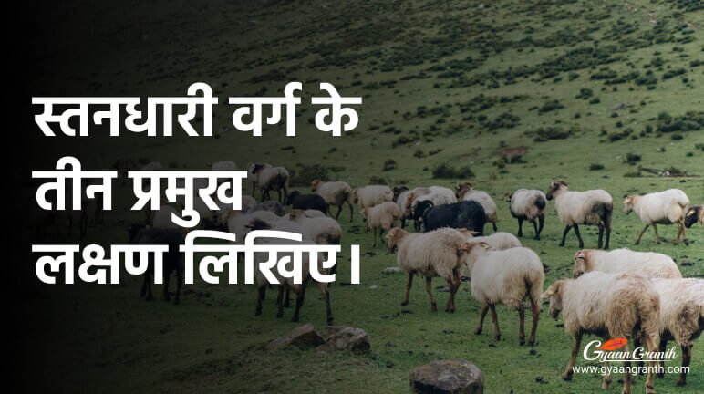 स्तनधारी वर्ग के तीन प्रमुख लक्षण लिखिए