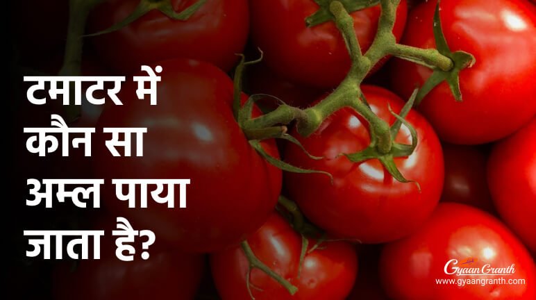 टमाटर में कौन सा अम्ल पाया जाता है?