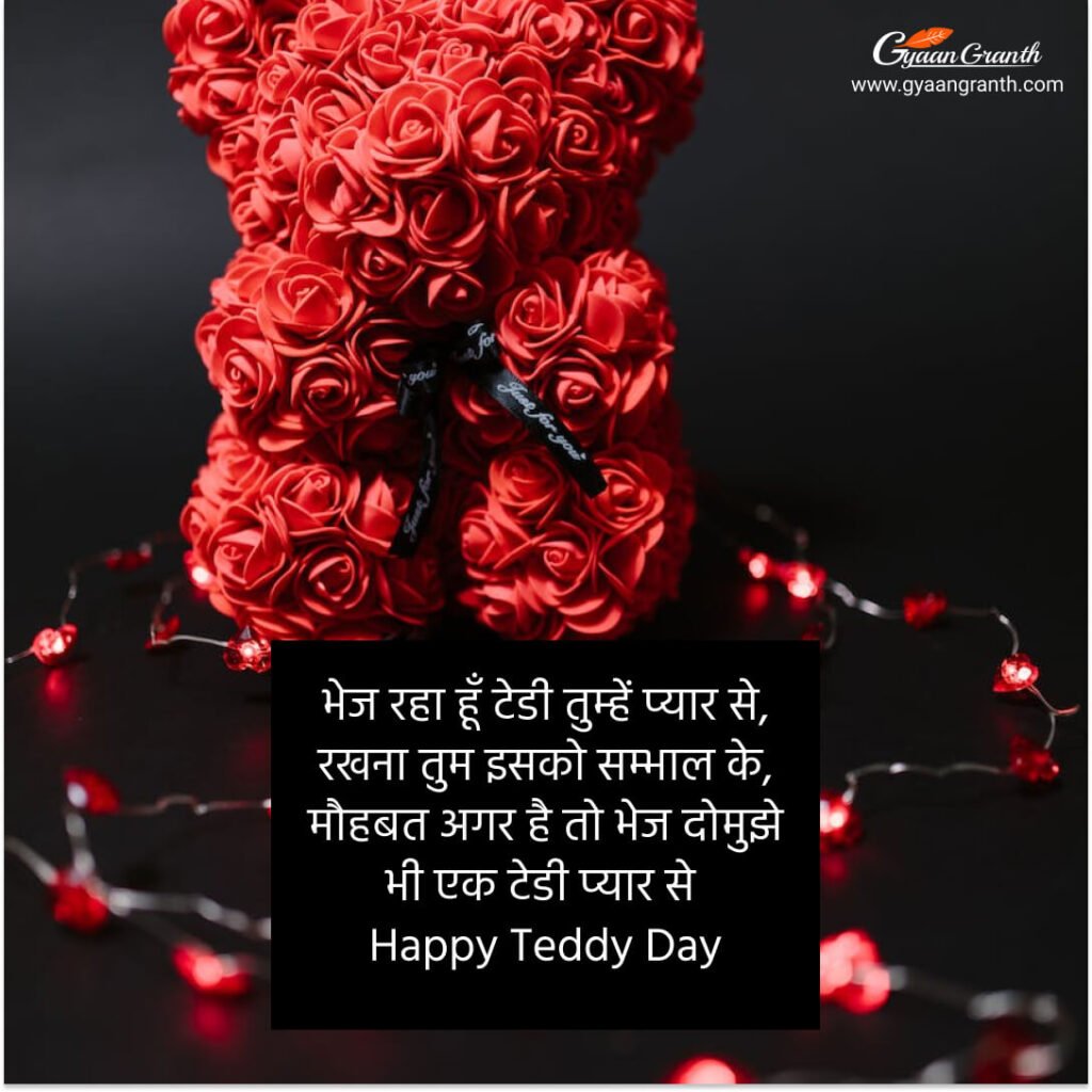 teddy day dp