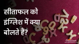 सीताफल को इंग्लिश में क्या बोलते हैं?