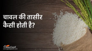 चावल की तासीर कैसी होती है