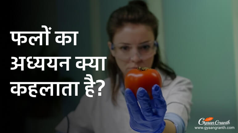 फलों का अध्ययन क्या कहलाता है?