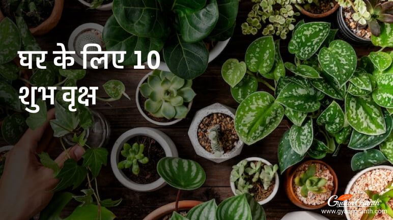 घर के लिए 10 शुभ वृक्ष