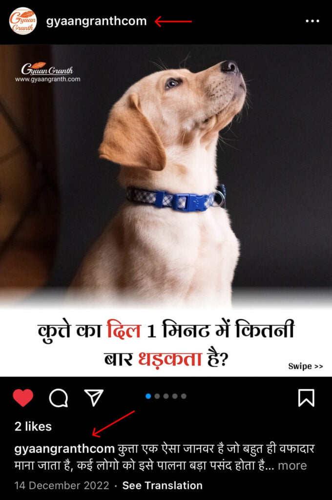 link in bio means in instagram