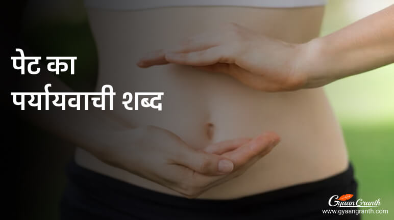 पेट का पर्यायवाची शब्द