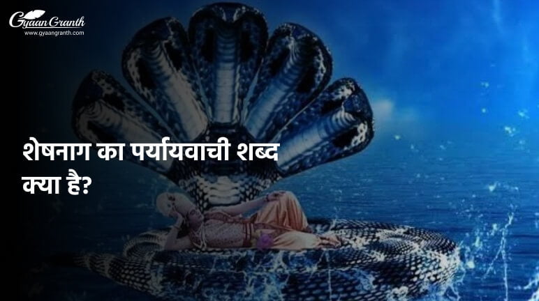 शेषनाग का पर्यायवाची