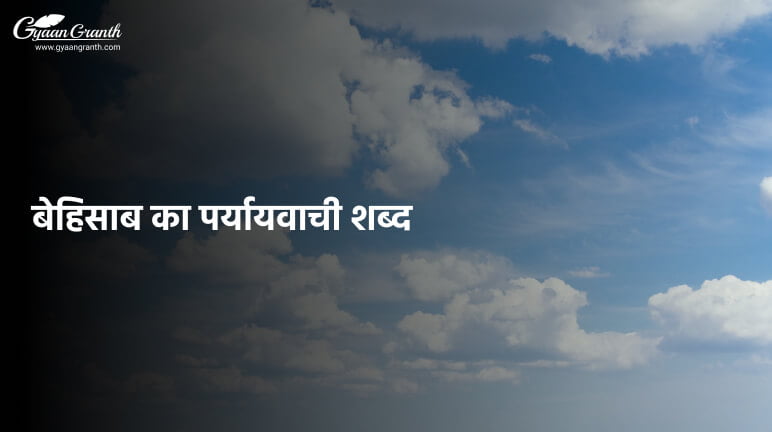 बेहिसाब का पर्यायवाची शब्द