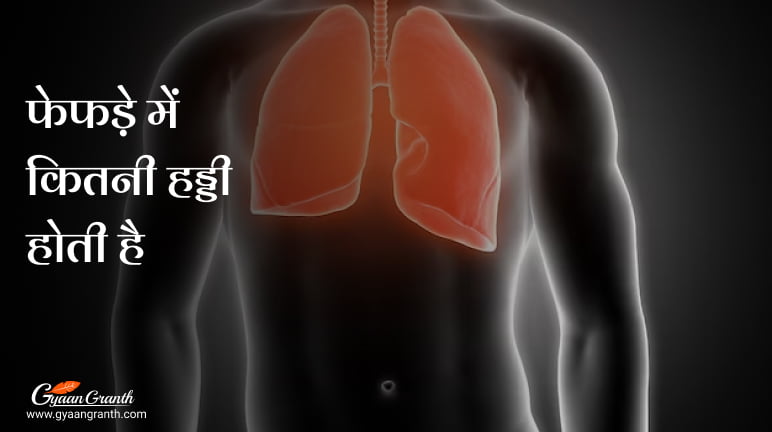 फेफड़े में कितनी हड्डी होती है