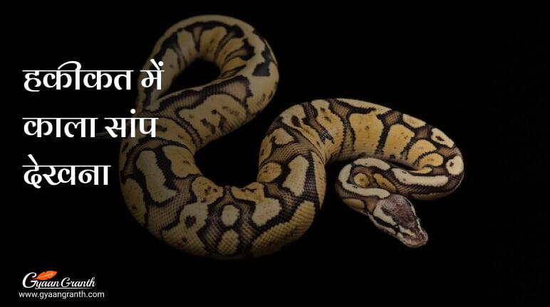 हकीकत में काला सांप देखना