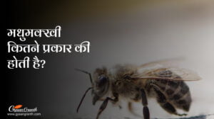 मधुमक्खी कितने प्रकार की होती है