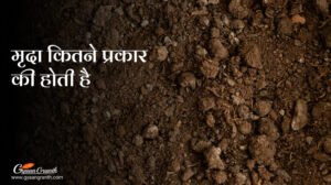 मृदा कितने प्रकार की होती है