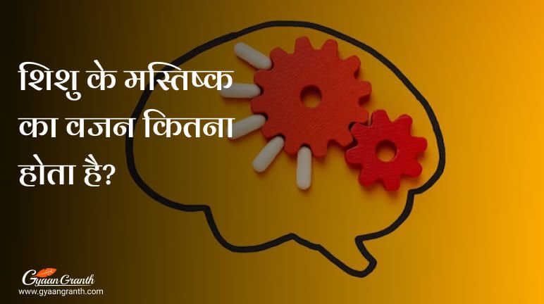 शिशु के मस्तिष्क का वजन कितना होता है