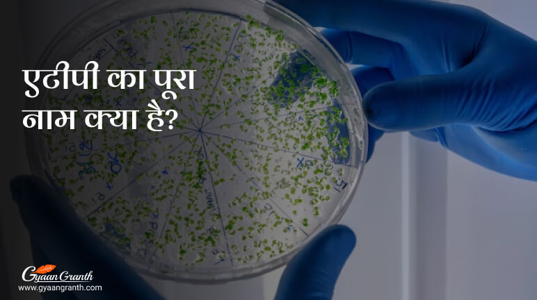 एटीपी का पूरा नाम क्या है?