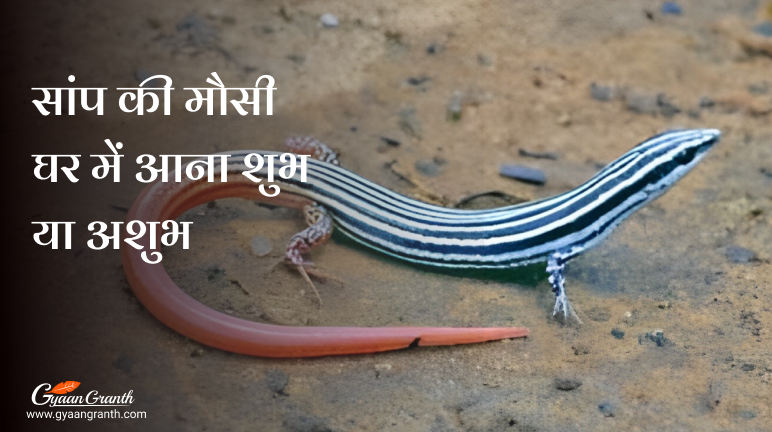 सांप की मौसी घर में आना शुभ या अशुभ