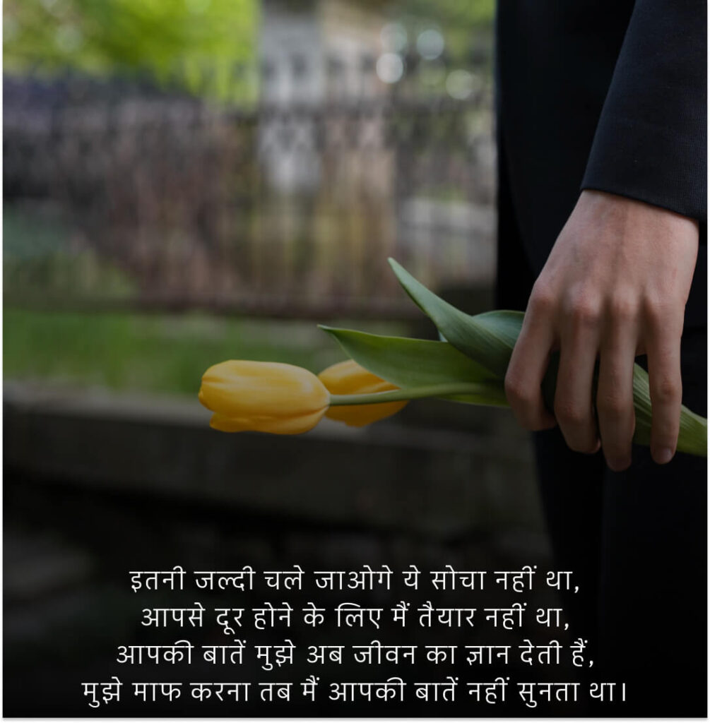 स्वर्गीय पिता पर कविता