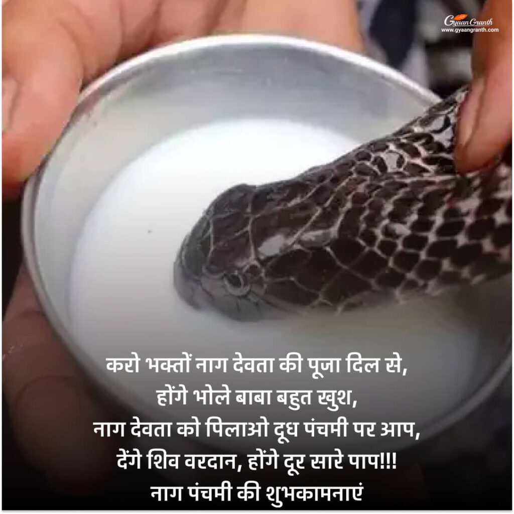 Happy Nag Panchami ki hardik shubhkamnaye