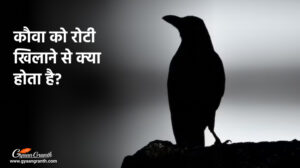 कौवा को रोटी खिलाने से क्या होता है