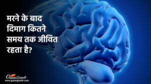 मरने के बाद दिमाग कितने समय तक जीवित रहता है?