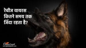 रेबीज वायरस कितने समय तक जिंदा रहता है?